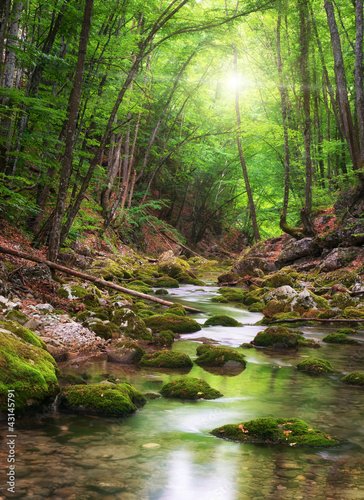 Jalousie-Rollo - River deep in mountain forest (von GIS)