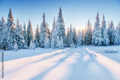 Jalousie-Rollo - Fantastic winter landscape. Magic sunset in the mountains a fros (von standret)