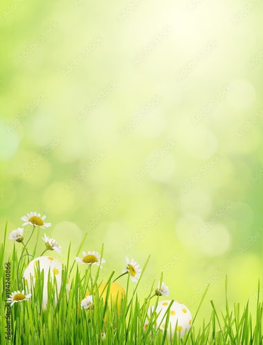 Foto-Schmutzfangmatte - Green background with grass, daisy flowers and Easter eggs (von Ortis)