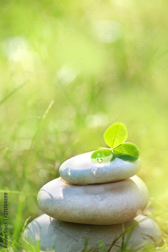 Plissee mit Motiv - Stack of zen stones on abstract nature green summer background. Relax still life with stacked of stone. zen pebble stones, spa wellness tranquil scene, soul equanimity calmnes concept. copy space (von Ju_see)