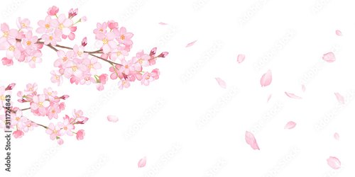 Foto-Schmutzfangmatte -  春の花：さくらと散る花びらの背景　水彩イラスト (von Keiko Takamatsu)