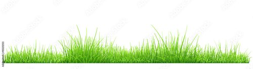 Foto-Schmutzfangmatte - Green grass (von Olga Moonlight)