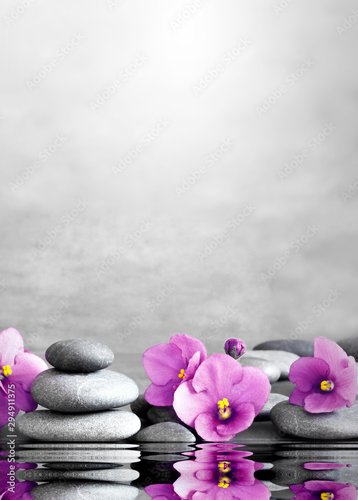 Plissee mit Motiv - flower and stone zen spa on grey background (von Belight)