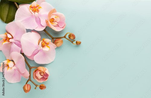 Foto-Schmutzfangmatte - Pink orchid theme objects on pastel background. (von gitusik)